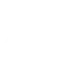 Arista
