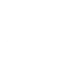 NFON logo