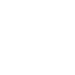 Space X logo